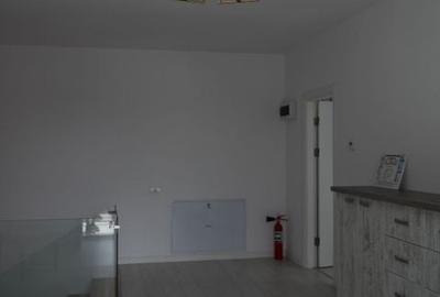 Vila de inchiriere, 6 camere // Zona Tei - 4