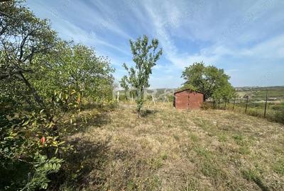 Teren de 1665 mp, în Dealuri Oradea - 12