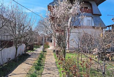 Casă cu 2 camere cu Teren 1000 Mp în Vânători - 6