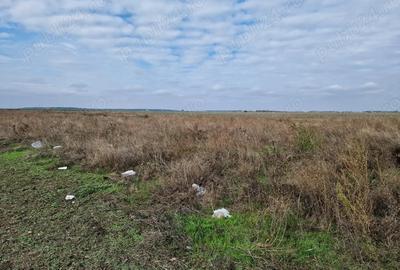 Teren de 615 mp, în Clinceni - 5