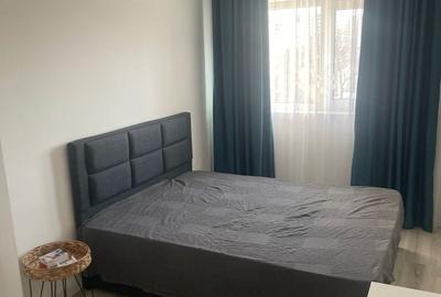 Apartament cu 2 camere decomandat, mobilat în Parcul Carol - 11