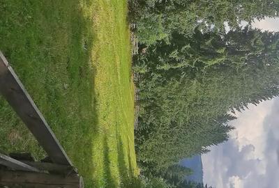 Teren de 3000 mp, în Beliș - 1