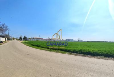 Teren Construcții intravilan de 13602 mp, în Dragomirești-Vale - 5