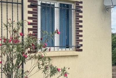 Casa cu pod mansardabil, 20 km de Delta Dunarii - 14