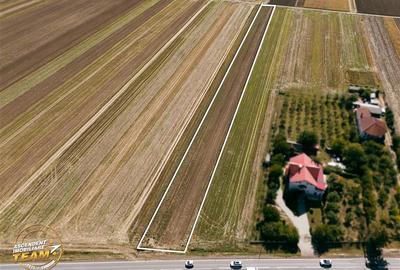 Teren Construcții intravilan de 7500 mp, în Cernat - 4