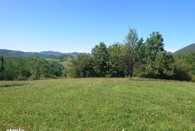 Spațiu comercial, în Luncoiu de Sus - 3