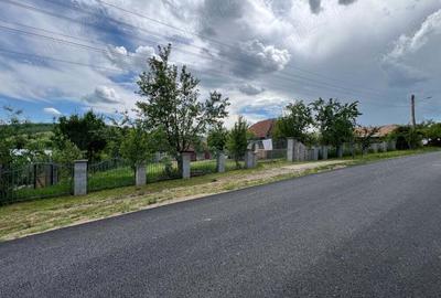 Casă cu 5 camere în Geaca - 4