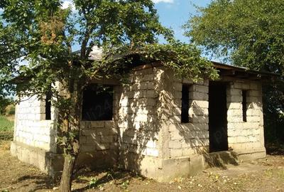 Casa de vanzare - sat. Vasile Alecsandri, jud. Galati - 10