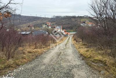 Spațiu comercial, în Central - 1