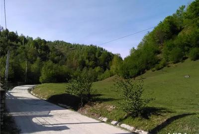 Teren de 5500 mp, în Pietroasa - 10