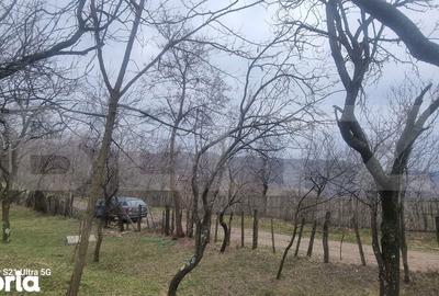 Teren de 3781 mp, în Izvoarele - 2