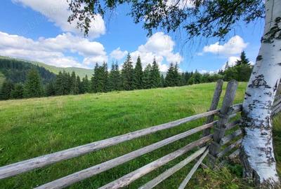 Teren de 5000 mp, în Ortoaia - 5