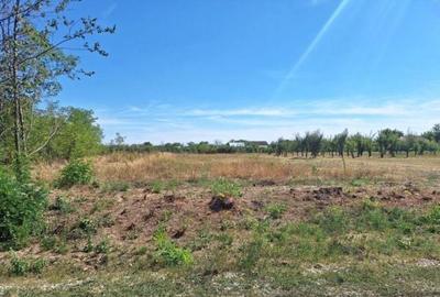 Teren de 1500 mp, în Exterior Vest - 4