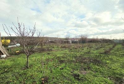Casa pe structura de lemn Construc?ie moderna, eficienta ?i durabila la Schela - 8