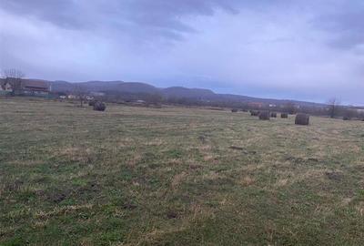 Teren Construcții extravilan de 5087 mp, în Sud-Vest - 6