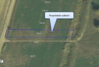 Teren de 5000 mp, în Lunca - 11