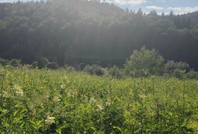 Teren de 567 mp, în Central - 1