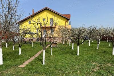 Casă în Unirea - 4