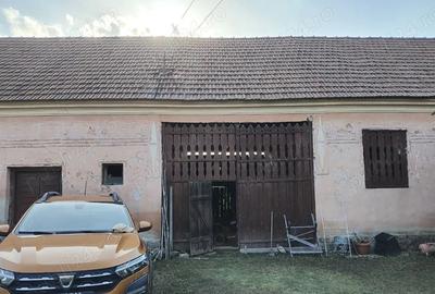 Casa si teren de vanzare - 8