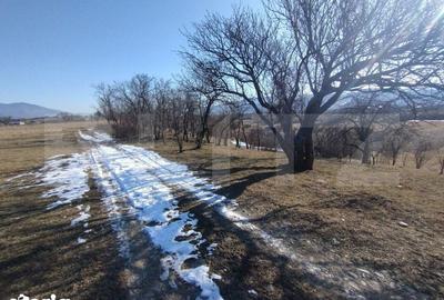 Teren de 2500 mp, în Josenii Bârgăului - 5