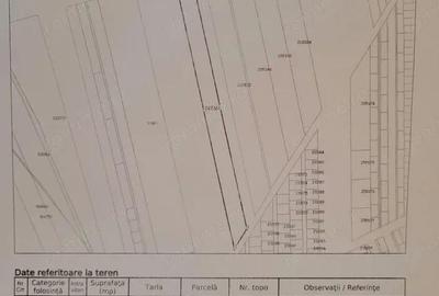 Teren de 18000 mp, în Viile Noi - 3