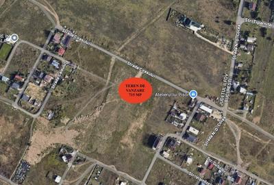 Teren de vanzare in Mgurele Cartierul Pomilor - 3