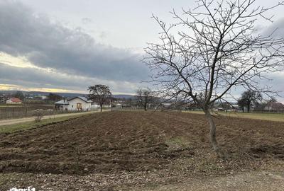 Teren de 27 mp, în Mitocu Dragomirnei - 8