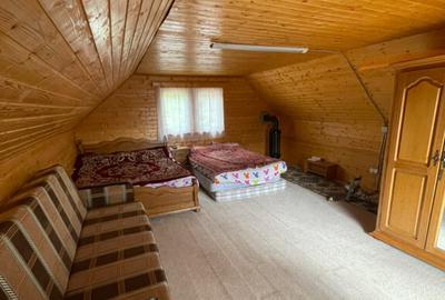 Cabana Statiunea muntele Baisorii - 6
