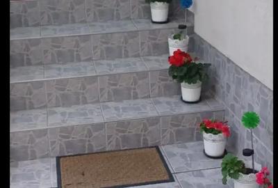 Casă cu 3 camere în Terezian - 7