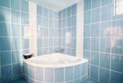 Casă cu 6 camere în Mehala