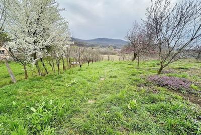 Casă cu 3 camere în Central - 3