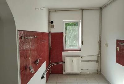 NORD-Cameliei-2cam-cubulet, cf1, dec,3/4, T, sg, izolat - 56000 euro - 6