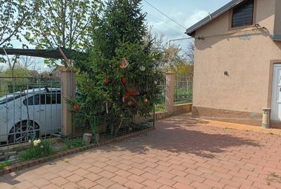 Casă individuală cu 3 camere cu Teren 258 Mp în Lumina - 2