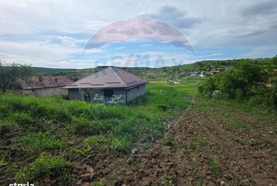 Casă cu 3 camere în Cornești - 1