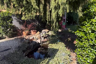 Casă individuală cu 2 camere cu Teren 800 Mp în Fratelia - 16