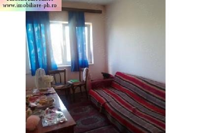 Apartament 3 camere de vanzare : Nord - (Cameliei) - 4
