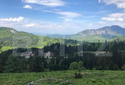 De vanzare, teren intravilan 5.500mp, Predeal - 20