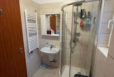 Apartament cu 2 camere, mobilat în Aradului - 18