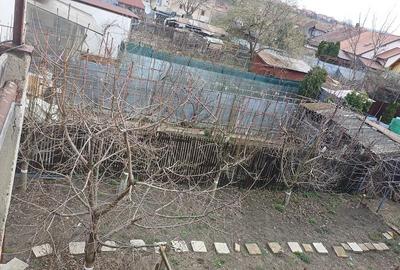 Casă cu 2 camere cu Teren 1000 Mp în Iclănzel - 2