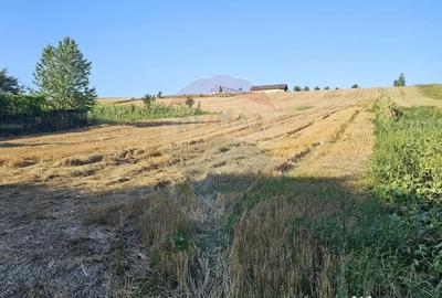 Teren de 7500 mp, în Moara - 10