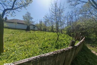 Teren de 720 mp, în Măgura - 3