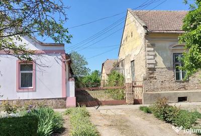 Casă cu 3 camere în Comloșu Mic - 13