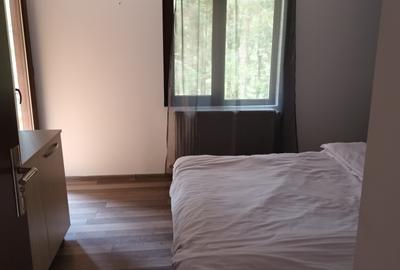 Vanzare cabană Valea Doftanei, izolata, libera, fosta in circuit, ingrijita - 7