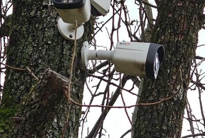 Casă individuală cu 3 camere cu Teren 3500 Mp în Autogară - 6