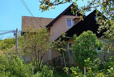Casă cu 3 camere în Cotuș - 5