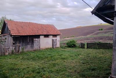 Casă cu 3 camere în Roșieni - 5