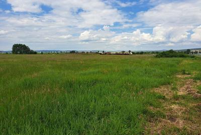 Teren Construcții intravilan de 9000 mp, în Turnișor - 2