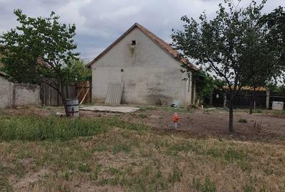 Casă cu 2 camere în Central - 4