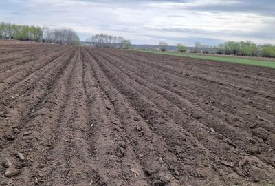 Spațiu comercial, în Rădăuți - 4