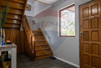 Vanzare vila, Stefesti-Prahova - 17